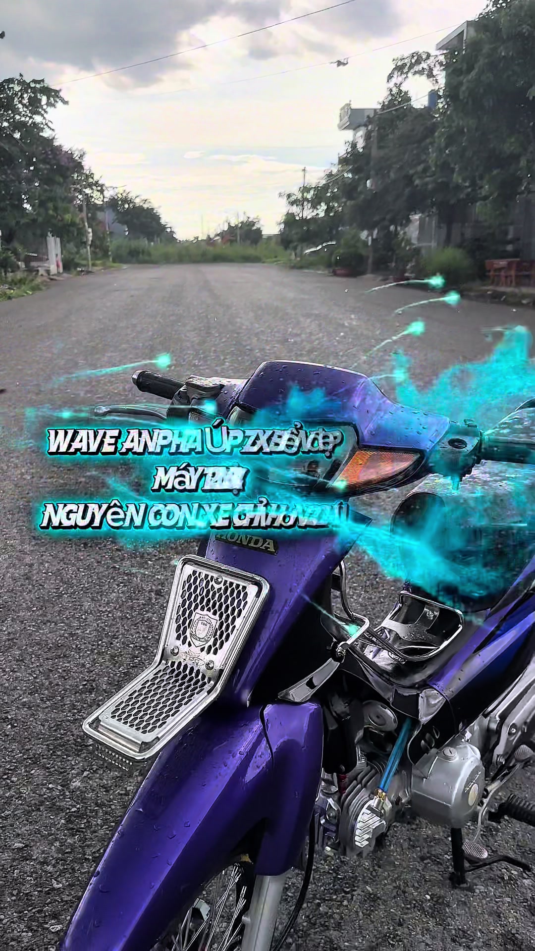 @ThanhPhongVlogs