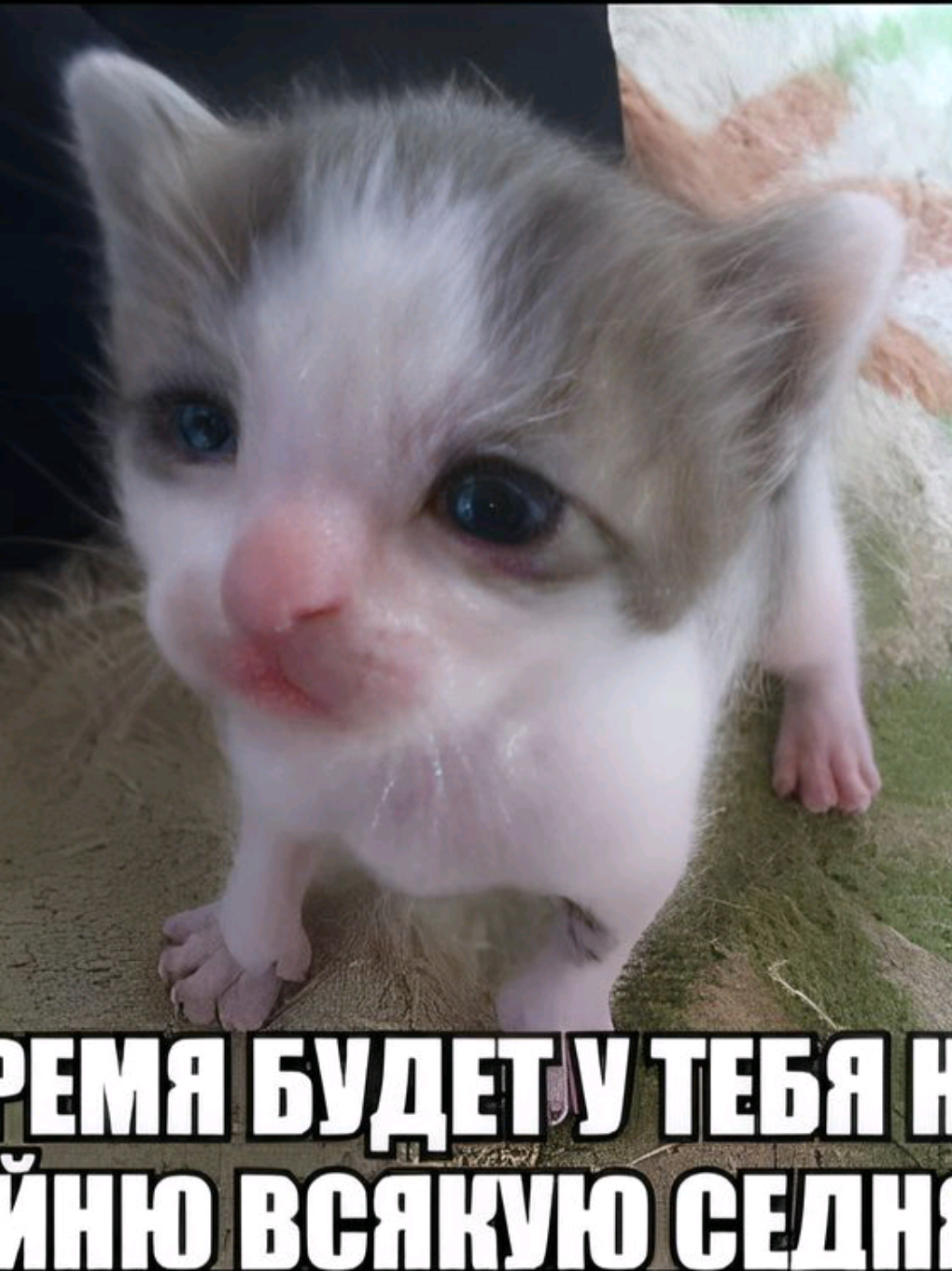 @BabaYaga!
