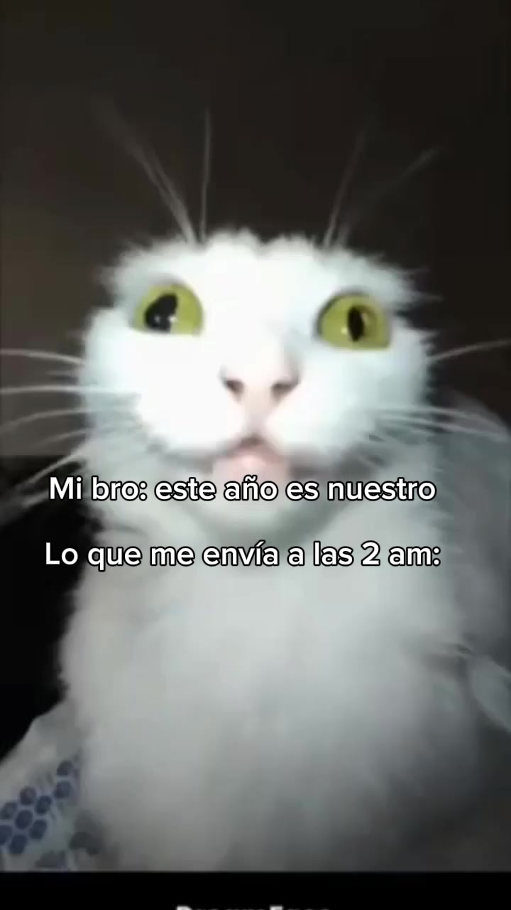 @ASTAIZZZA