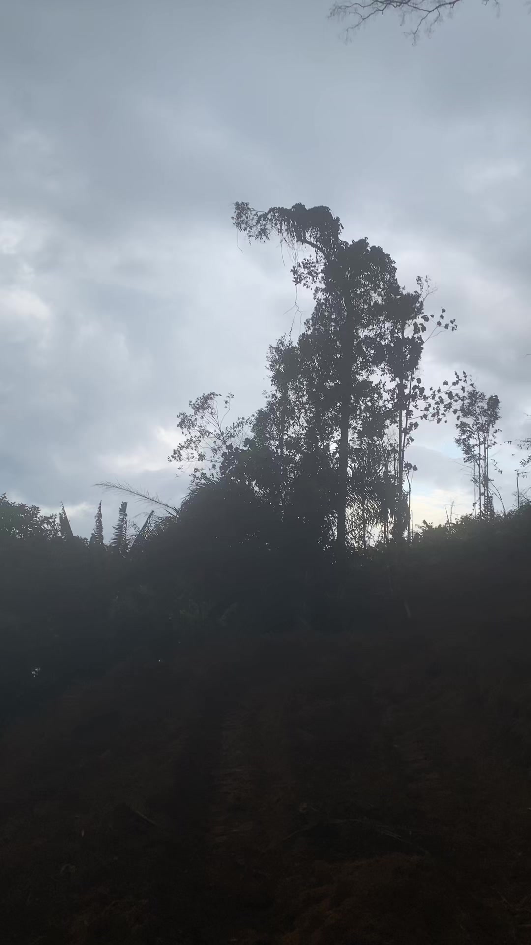 @ferdika Al arifin