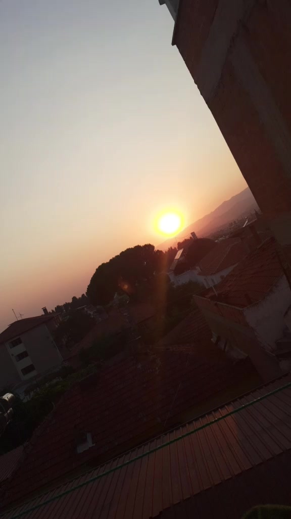 @umut tulumcu