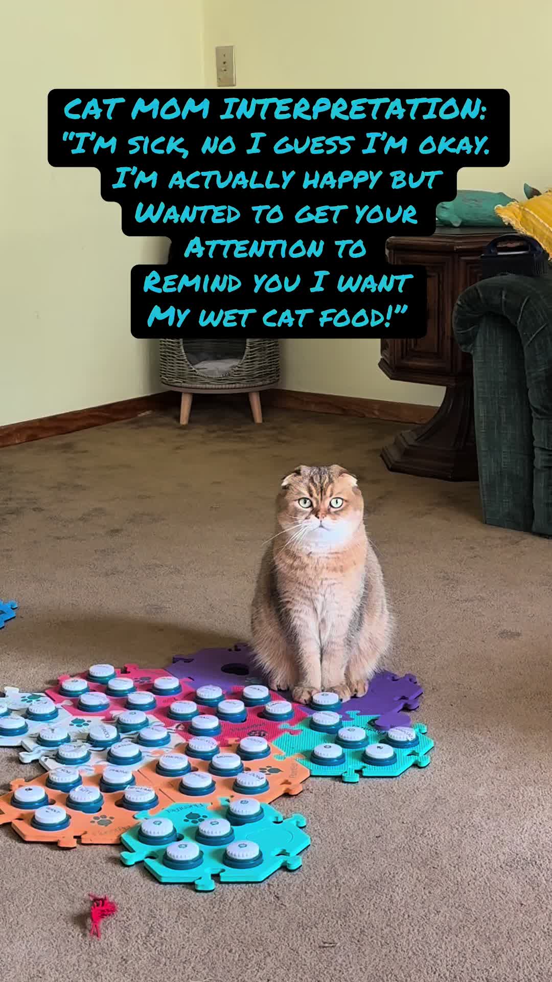 @Puffindoestricks
