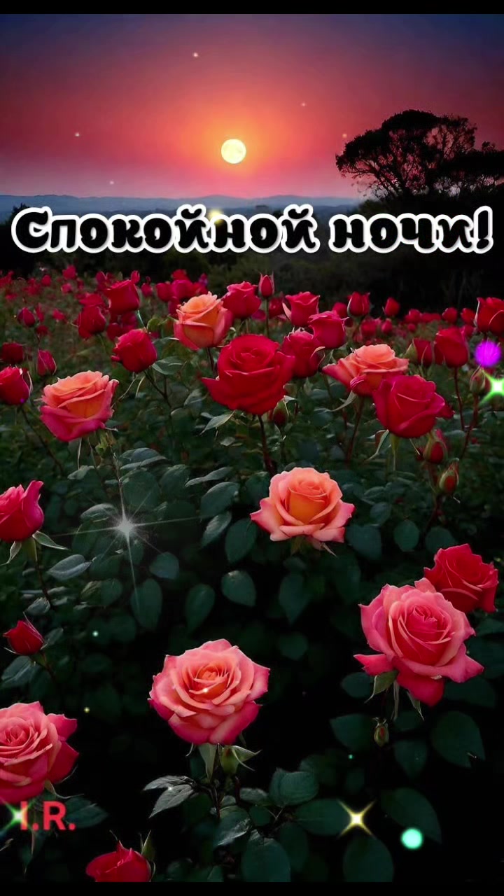 @๐๐