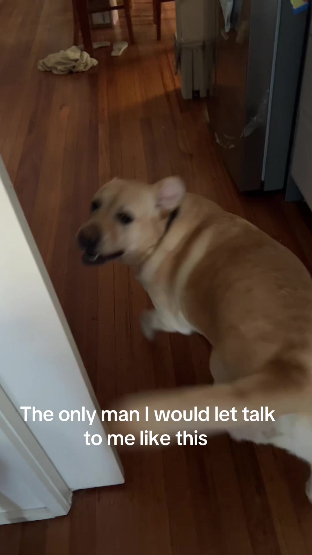 @4y4n1w