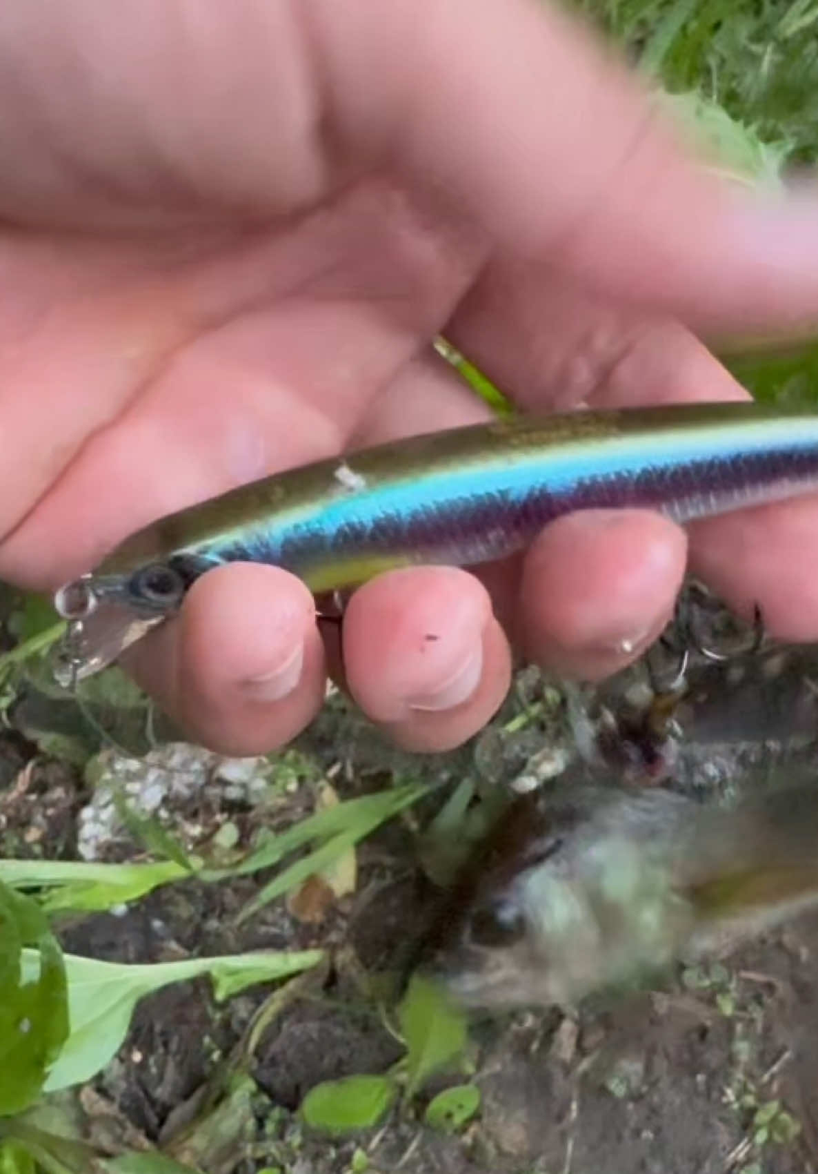 @𝗧𝗚.𝗗𝗬𝗫𝗙𝗜𝗦𝗛🎣