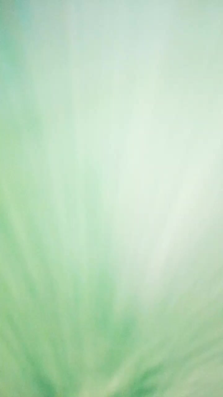 @⋆˚꩜。메간⋆˚꩜。
