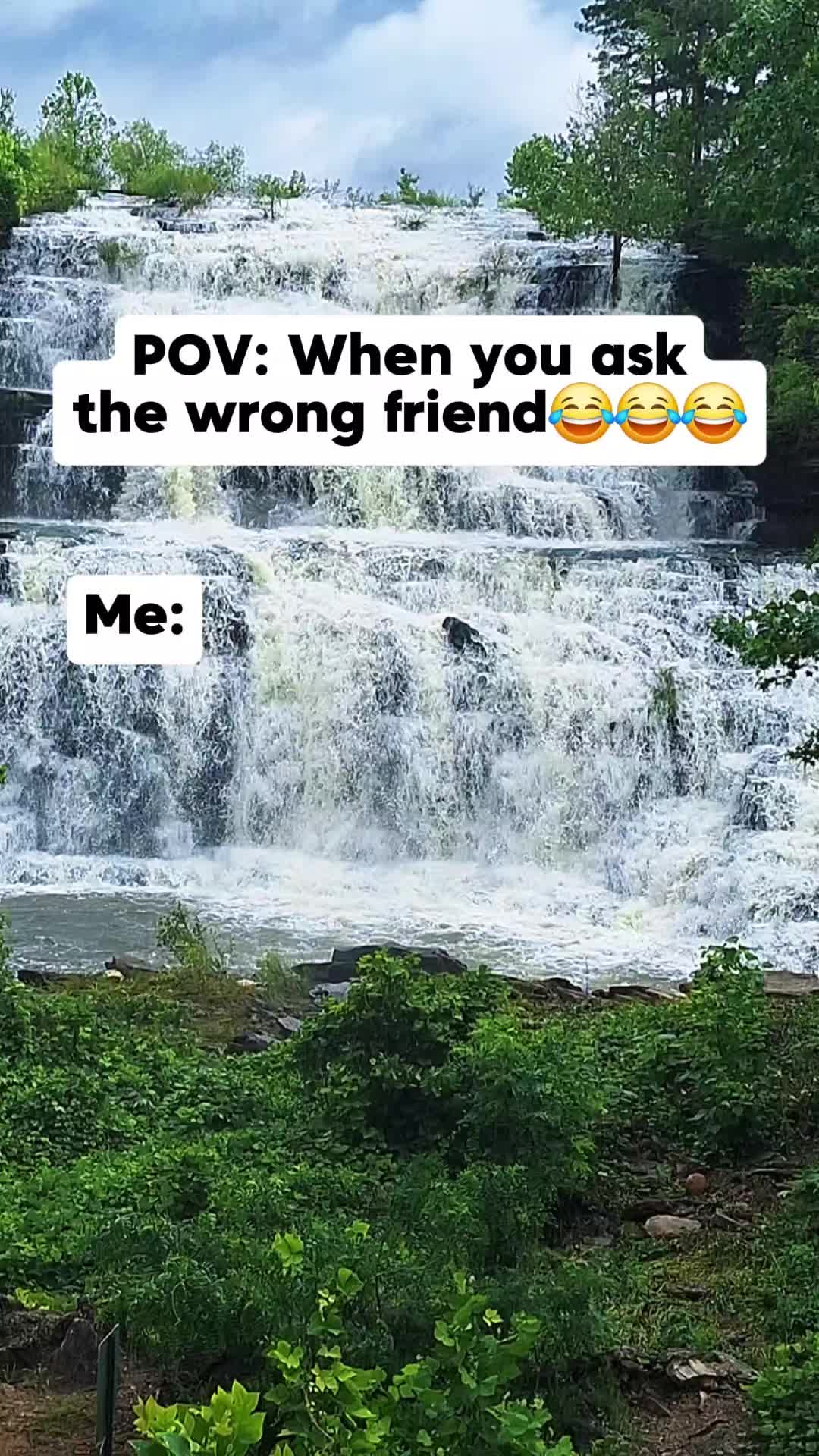 @Michelle R