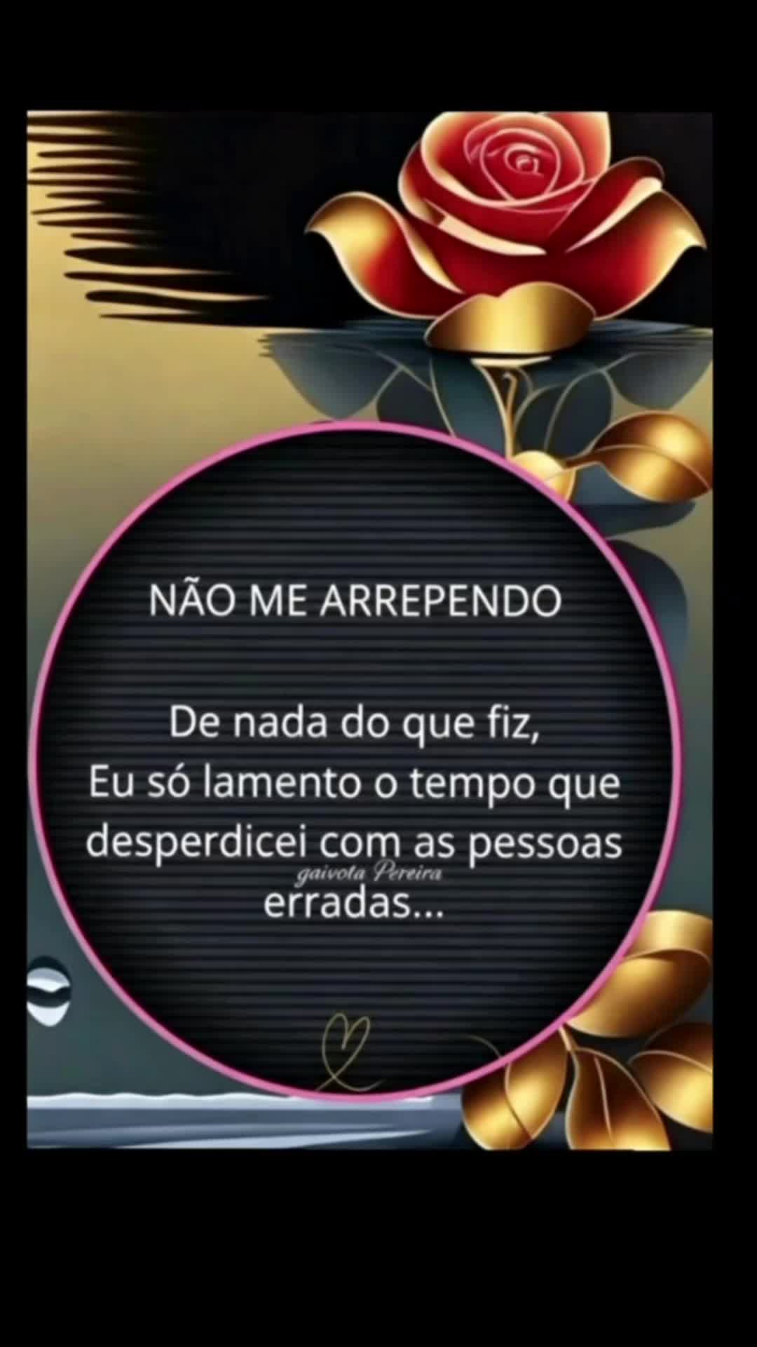 @Gaivota