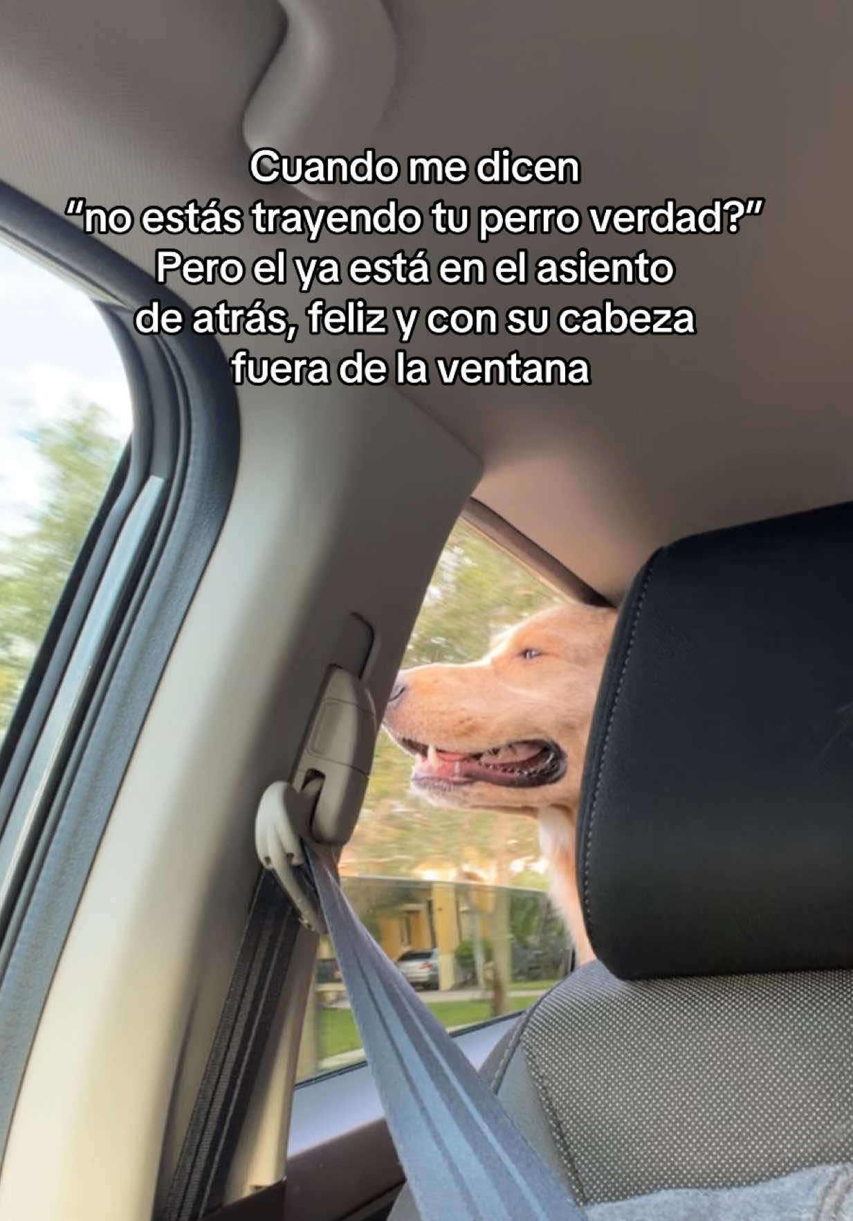 @Andreita 🇻🇪🌹