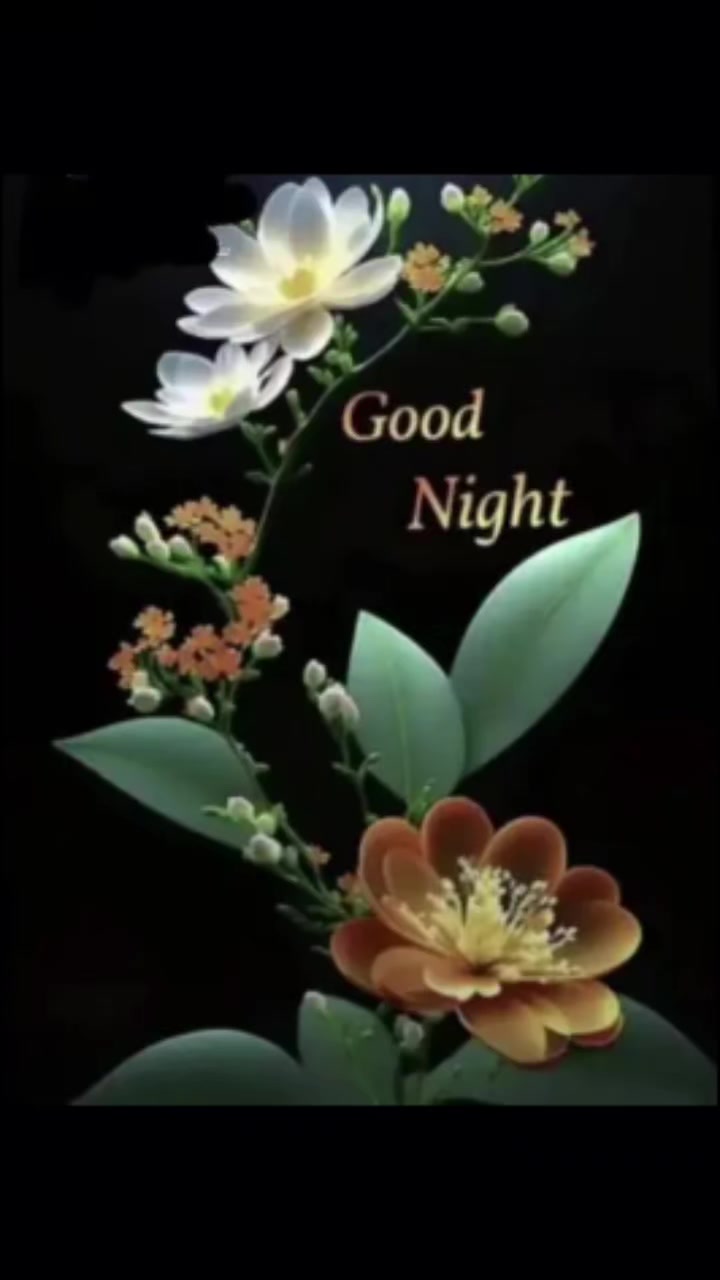 @Sai Meena