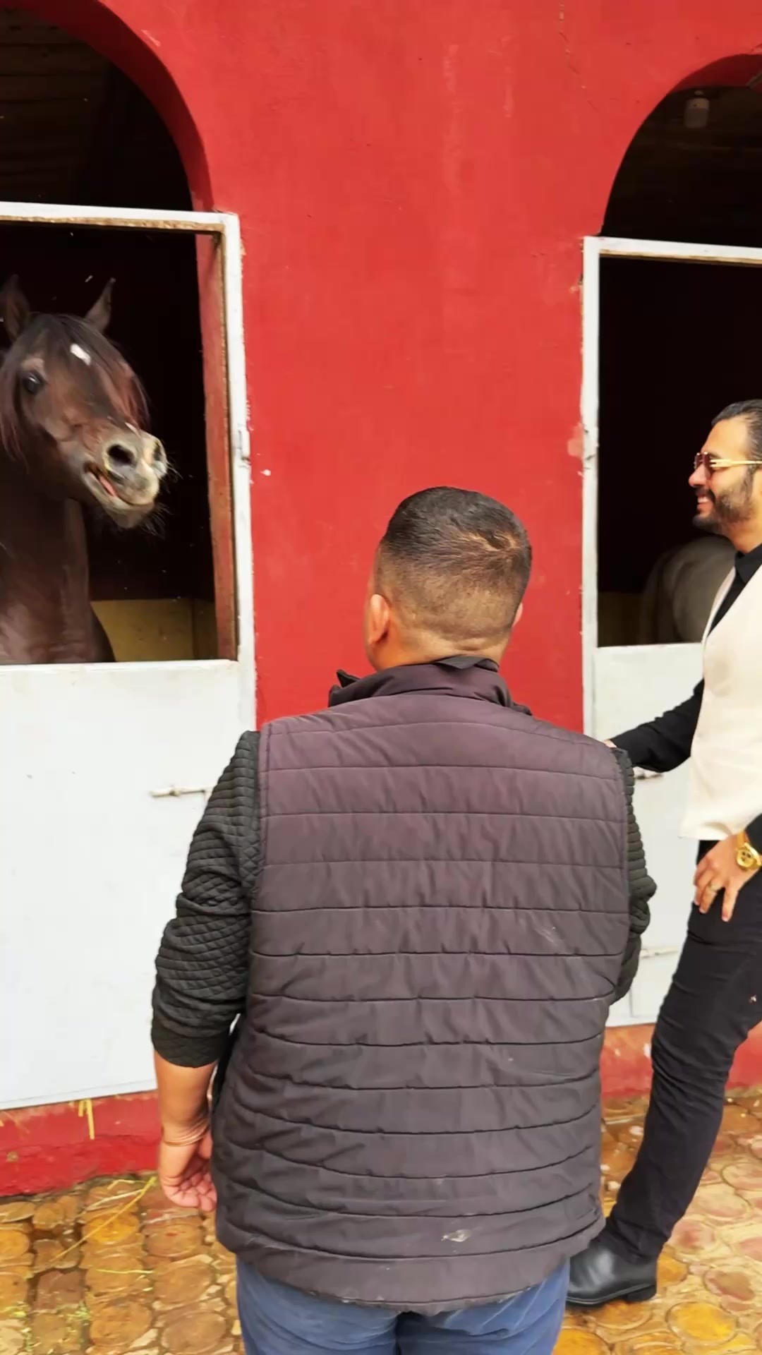 @Hatem settin حاتم ستين