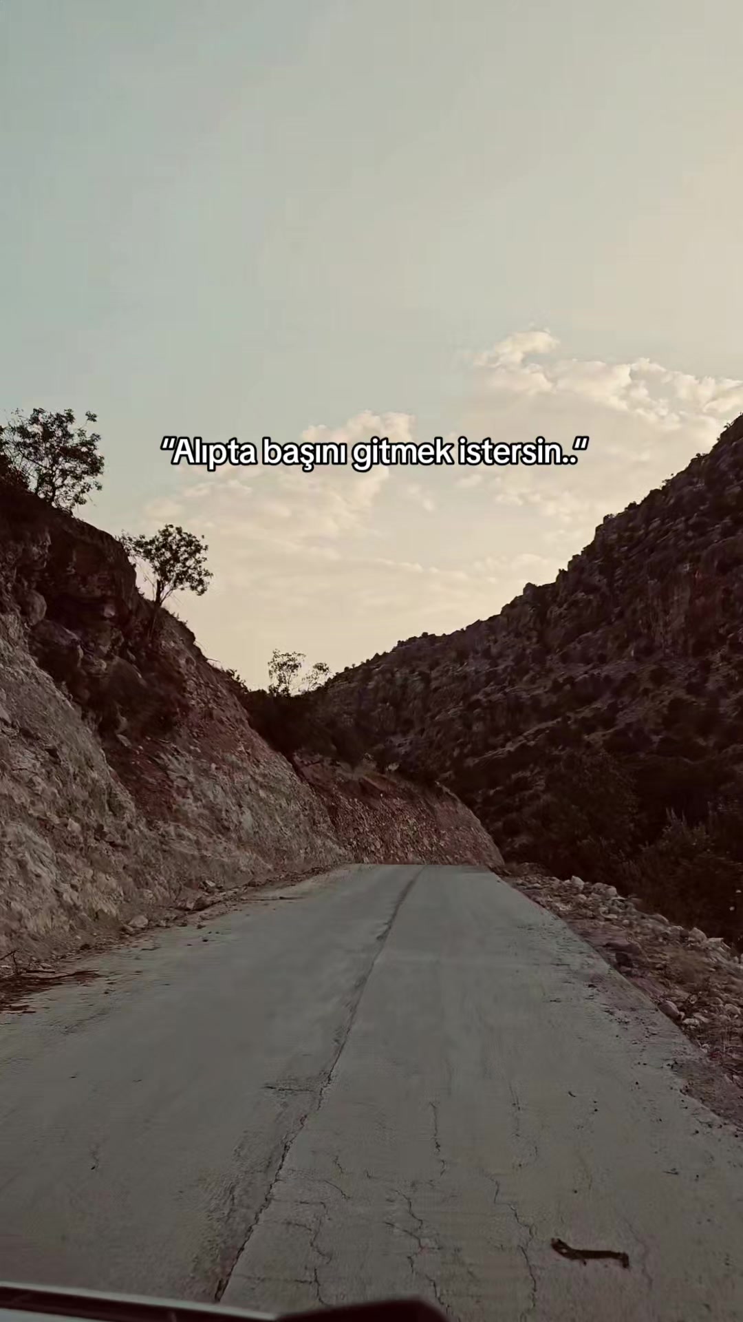 @• s ᴇ ʀ ʜ ᴀ ᴛ •