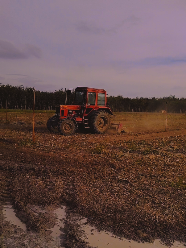 @HIẾU Беларусь 952.2 🚜 lẻ 1