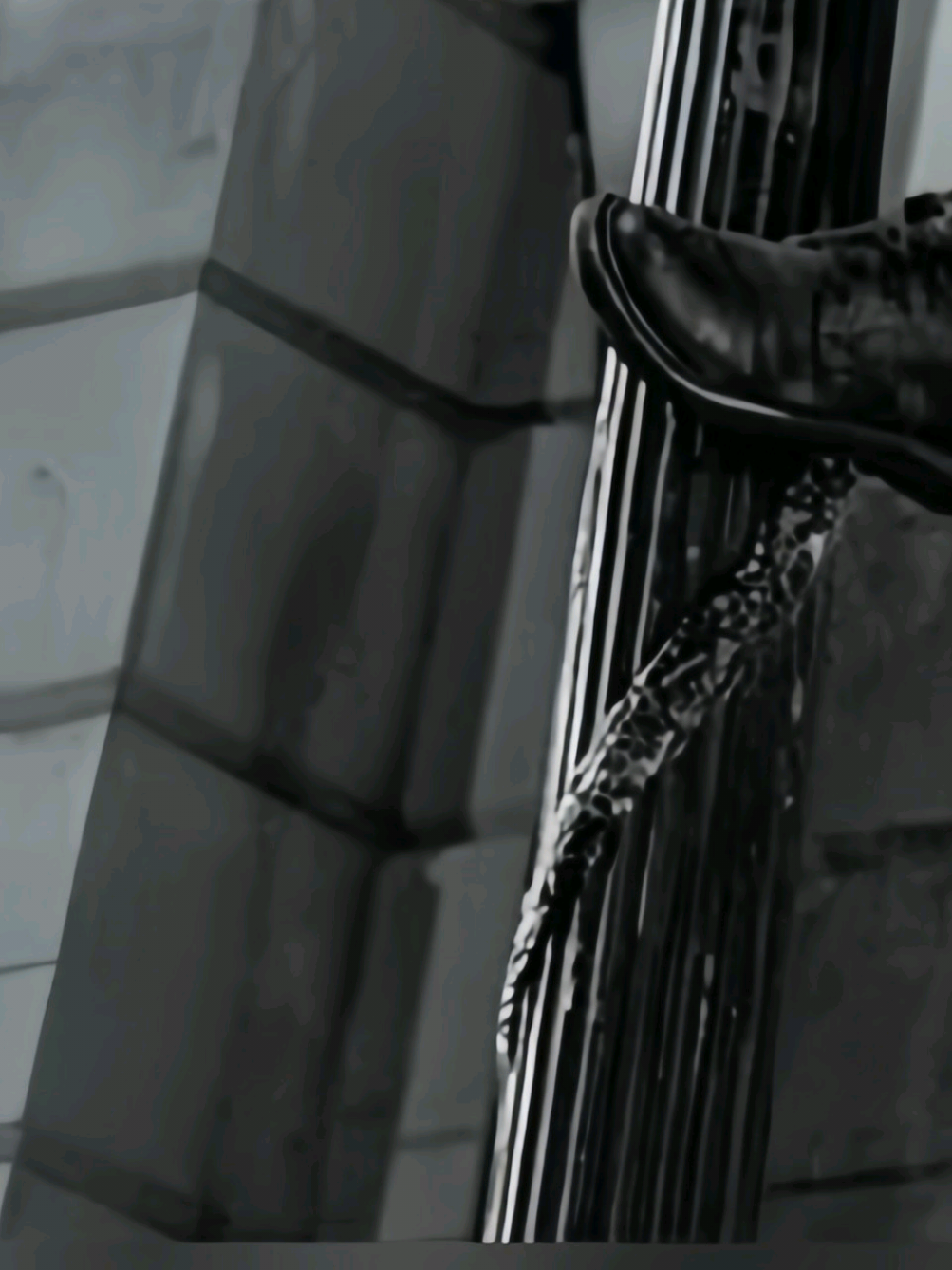 @𝐑𝐞𝐧𝐳𝐨.