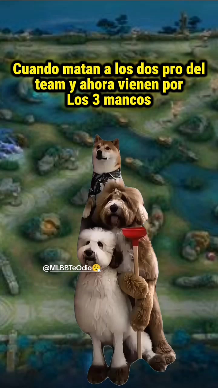 @MLBBTeOdio😮&zwj;💨