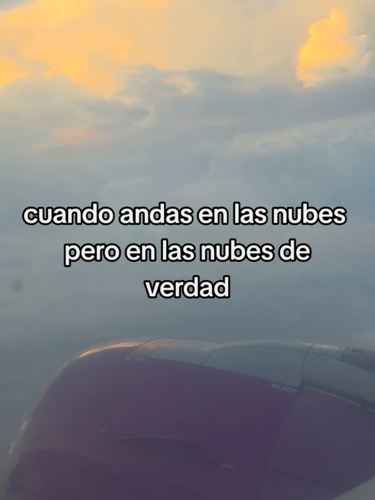 @soymolina