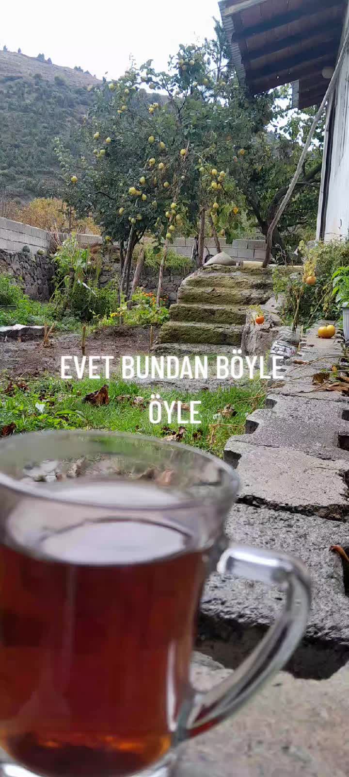 @Hasan Yılmaz