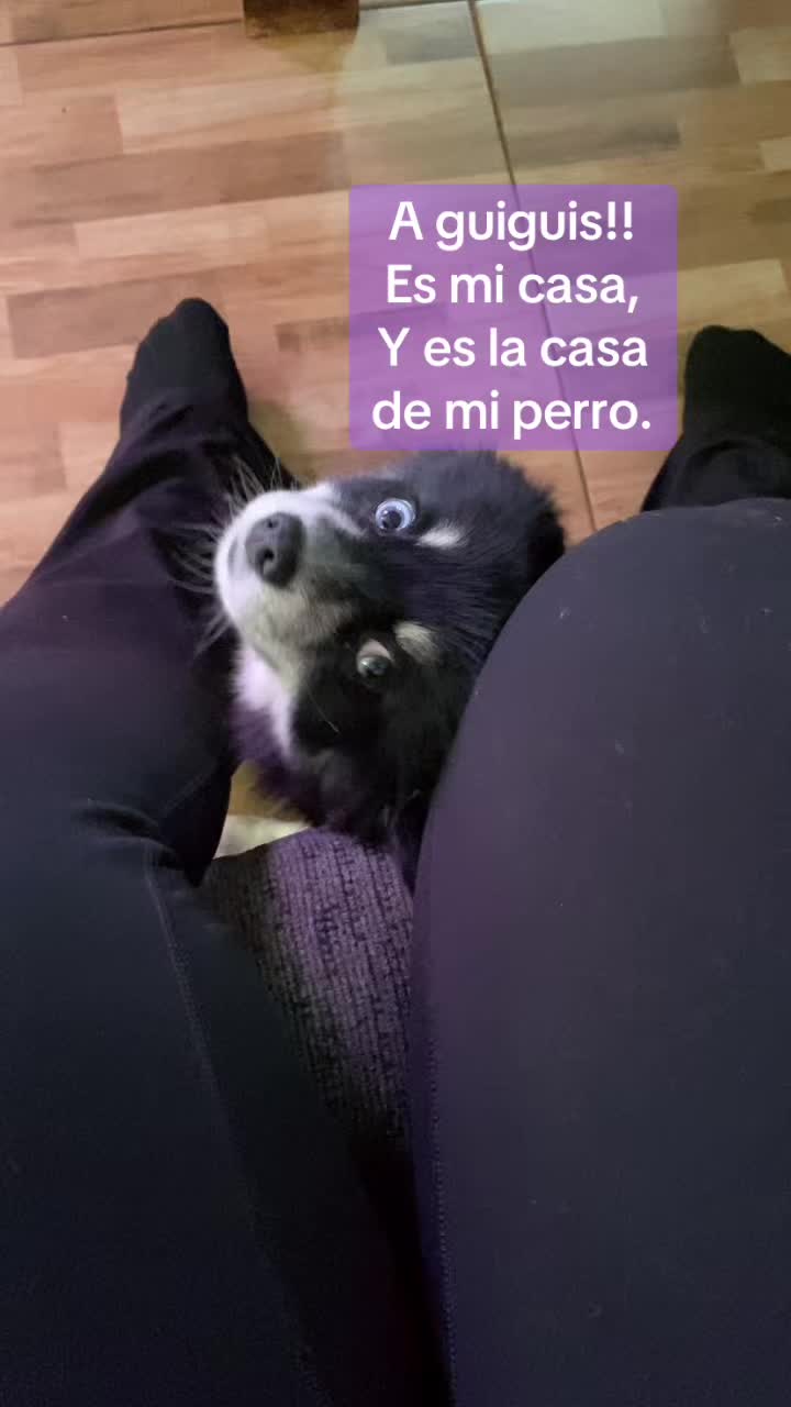 @YayaST83