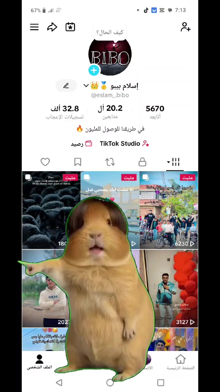 @إسلام بيبو 🥇👑