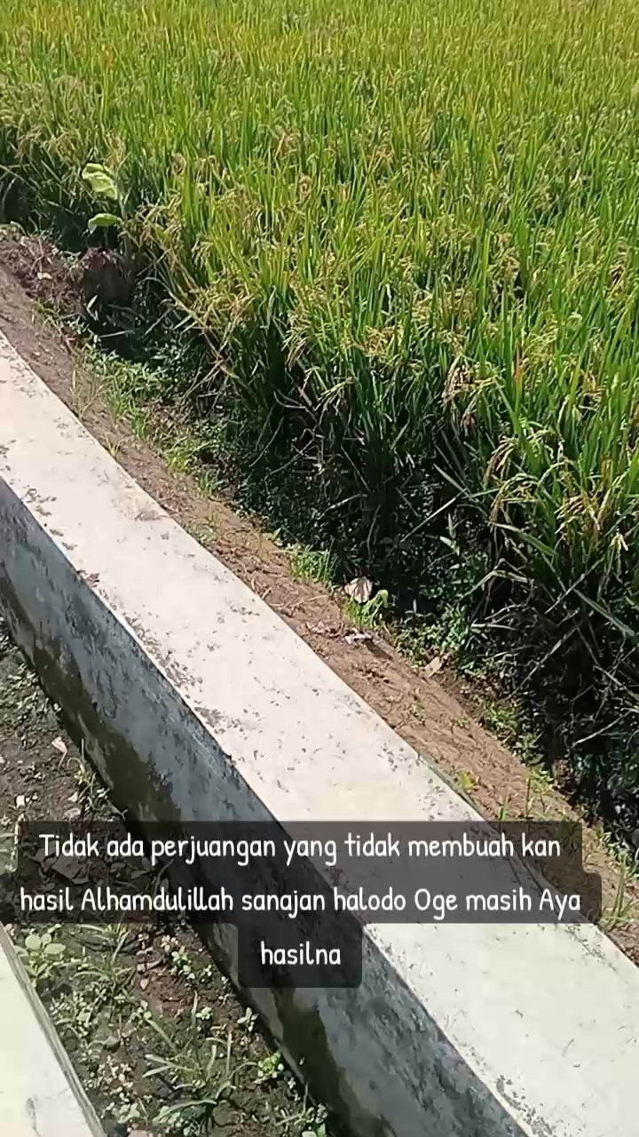 @Tatang Wijaya