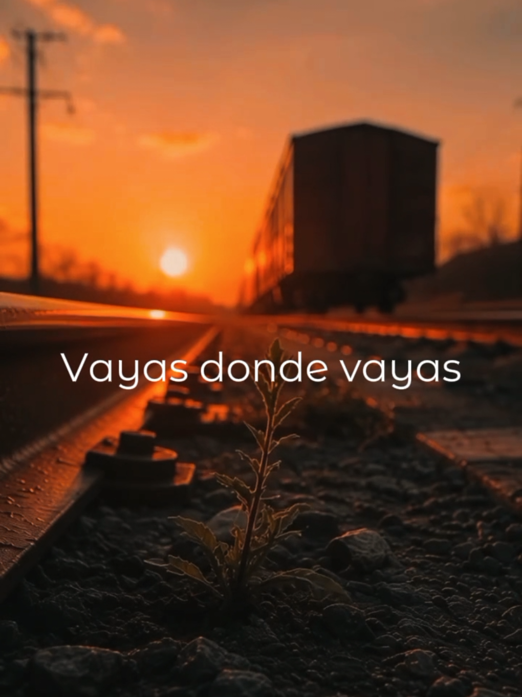 @reflexiones & Frases