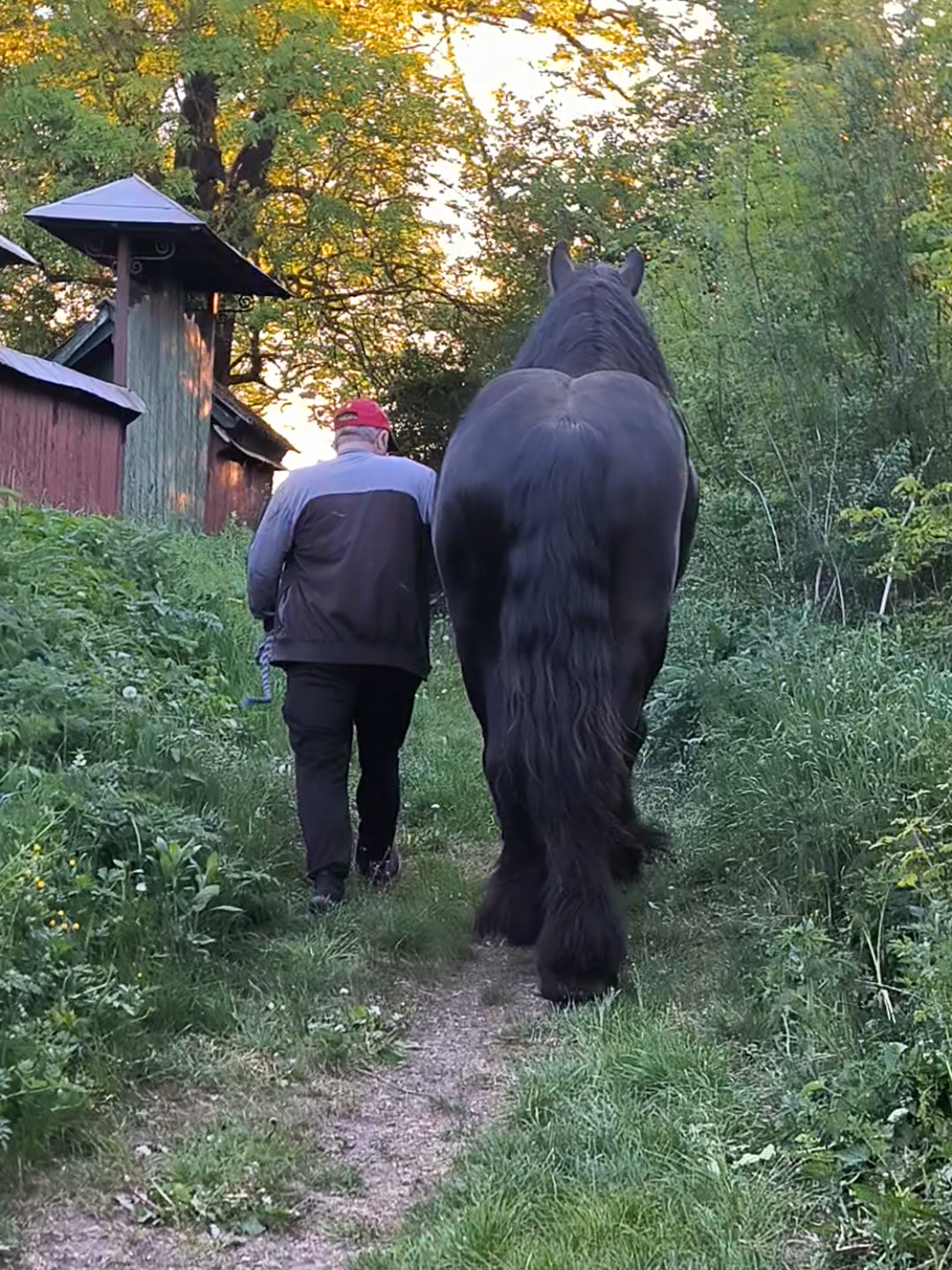 @ВАСЯ БОЙЧУК 🐎