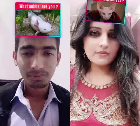 @hitesh_maheshwari,1