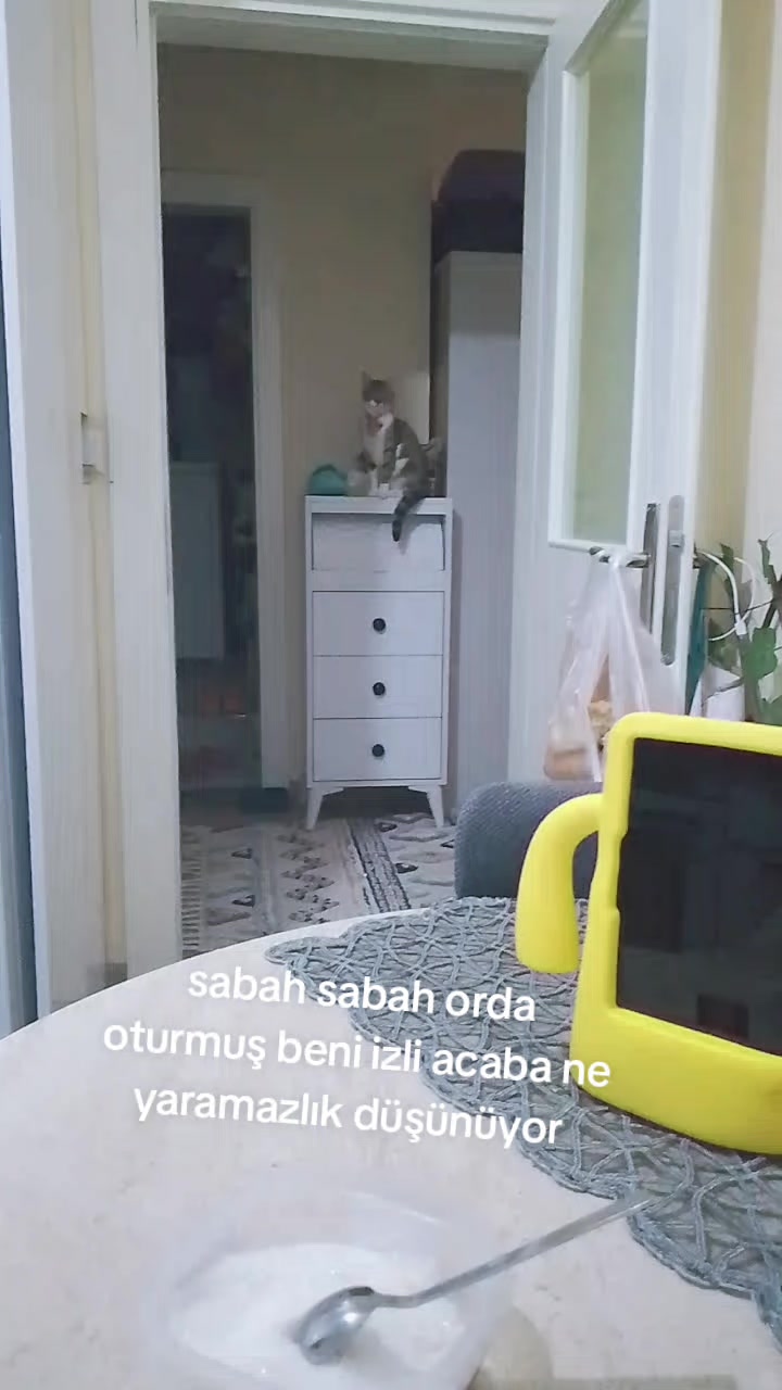@ordulum