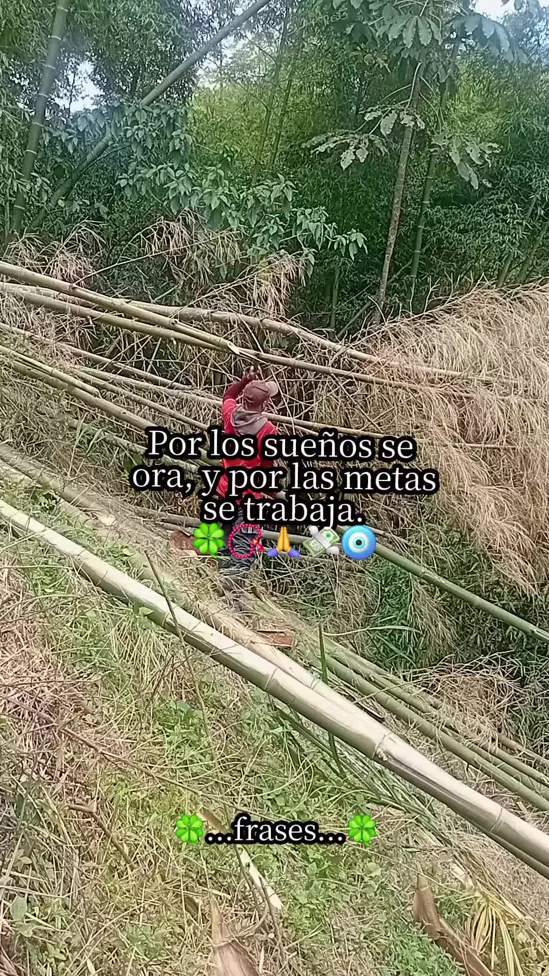@Jos&eacute; Orlando