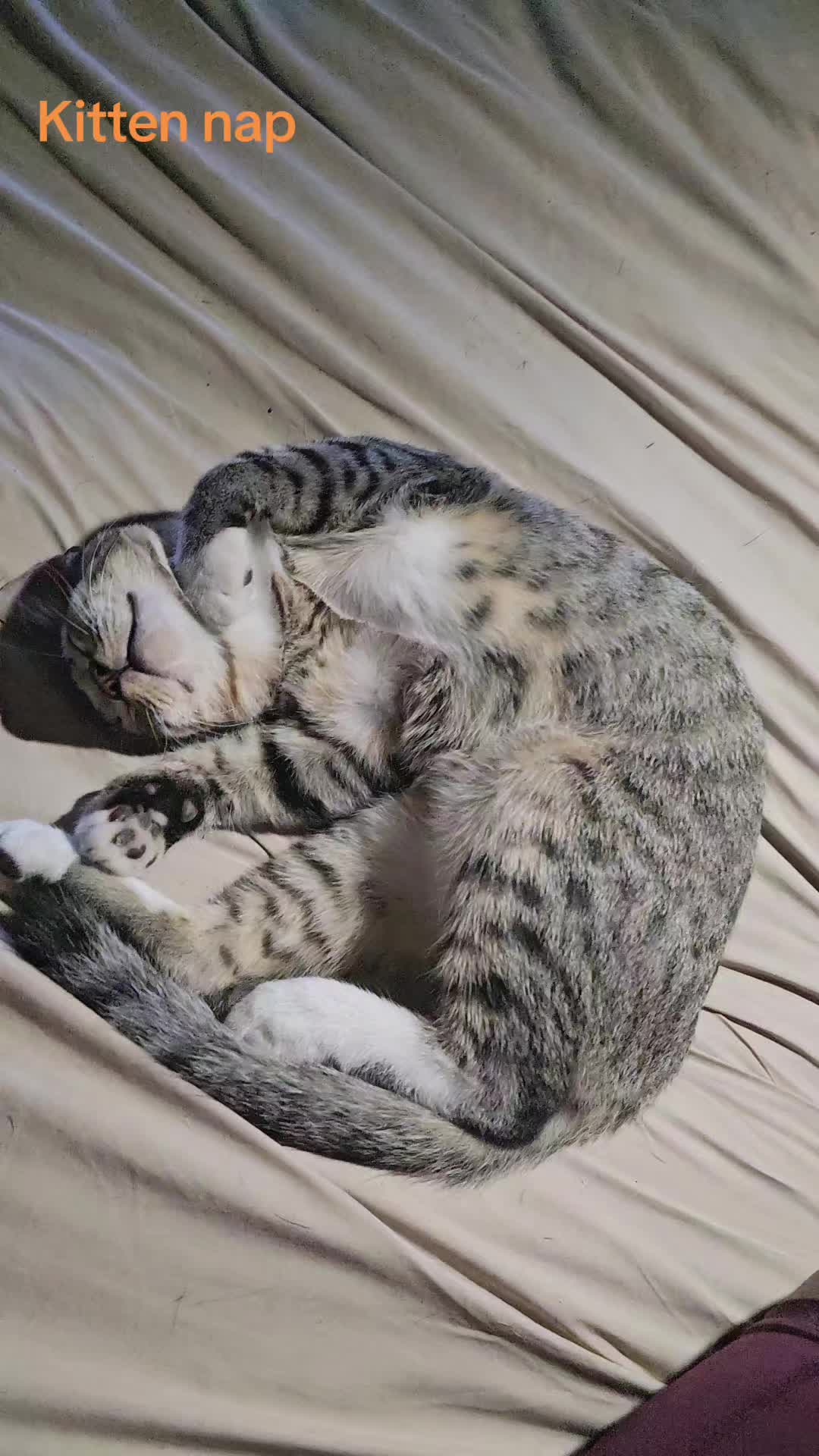 @Sonia&Rosieroo♥️🐾