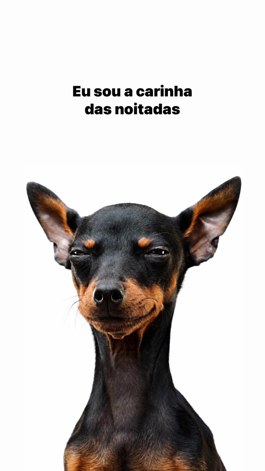 @user1606