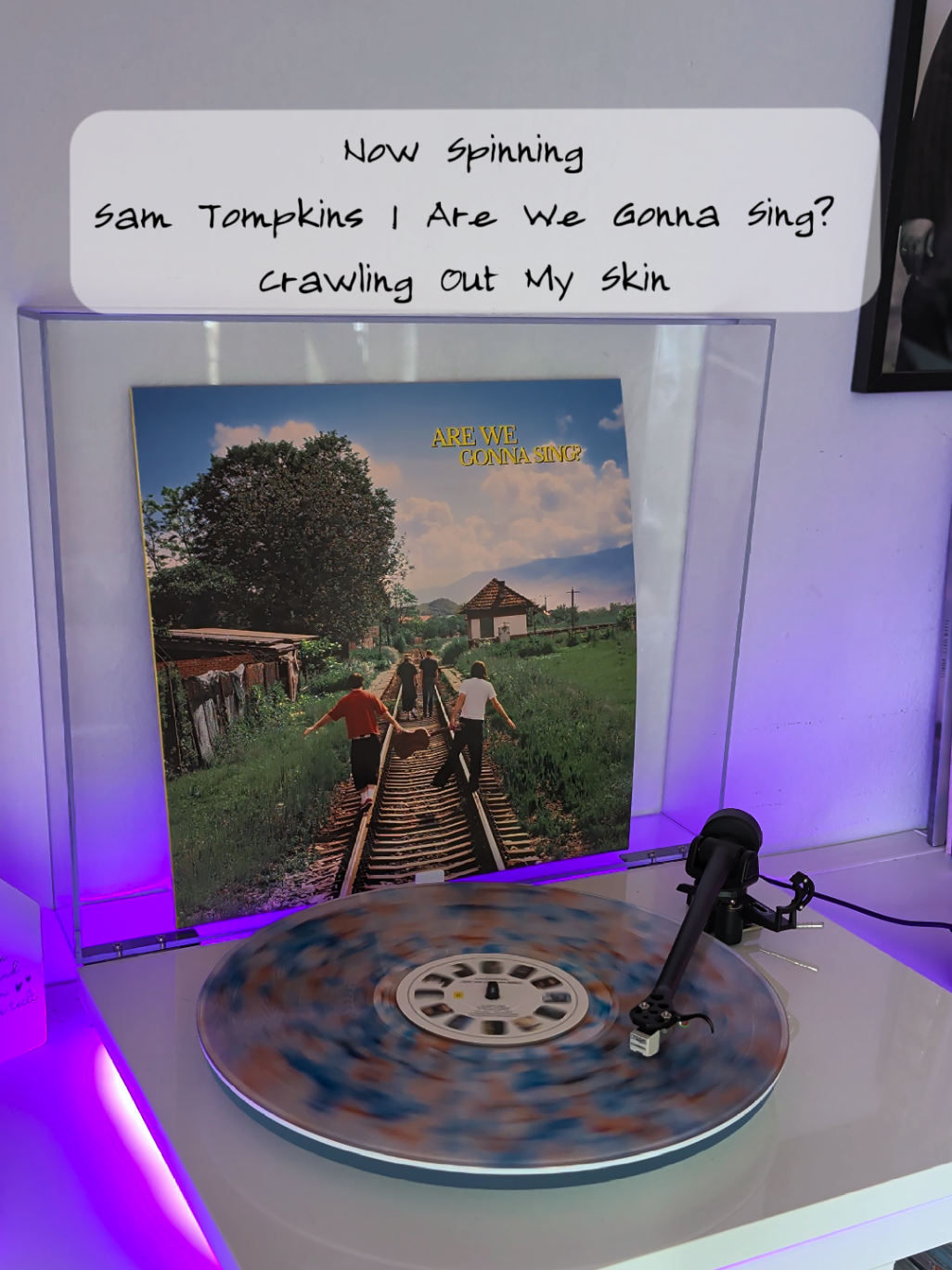 @Chrissy || Vinyl Collector 🎶✨
