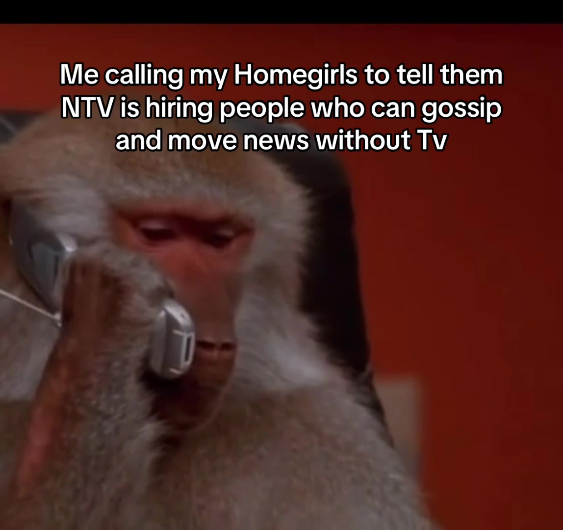 @Meme junkies