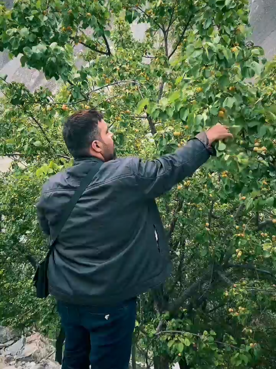 @|/\|@|_ |
