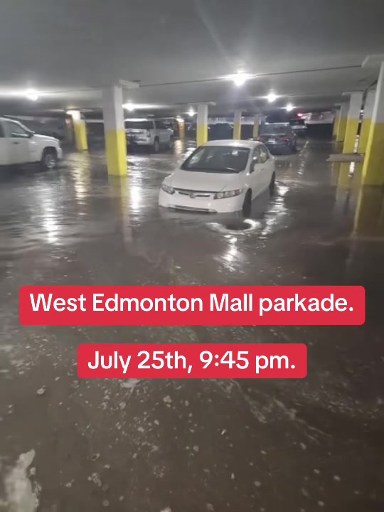 @Bad Driver Edmonton