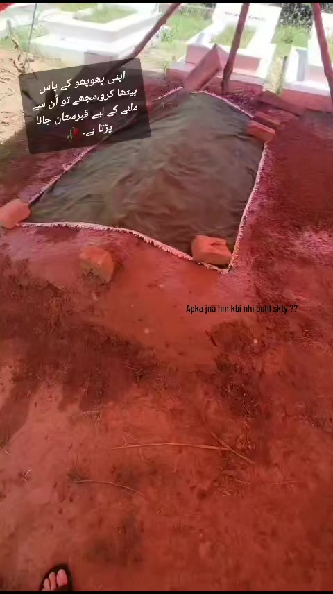 @kashmirikuri400