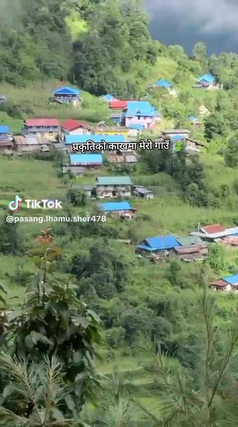 @Diki💞Dendi 🇳🇵🇳🇿
