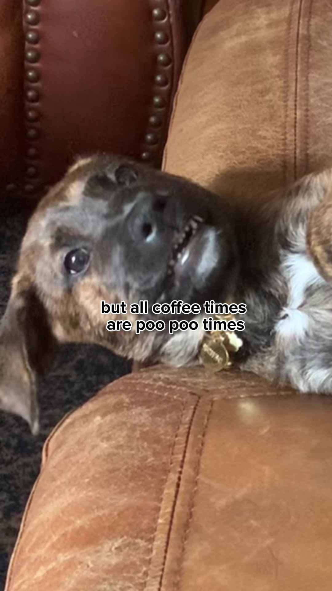@Bea