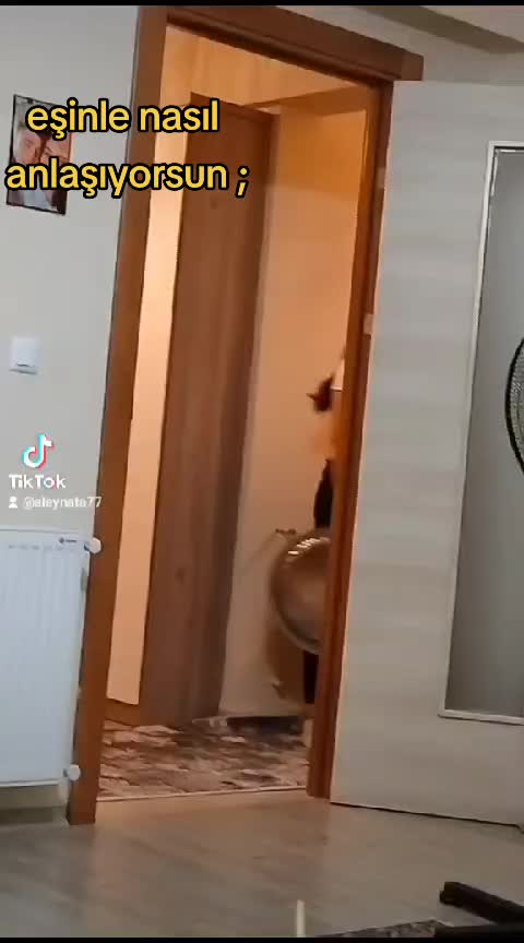 @Eğlence zamanı 😜