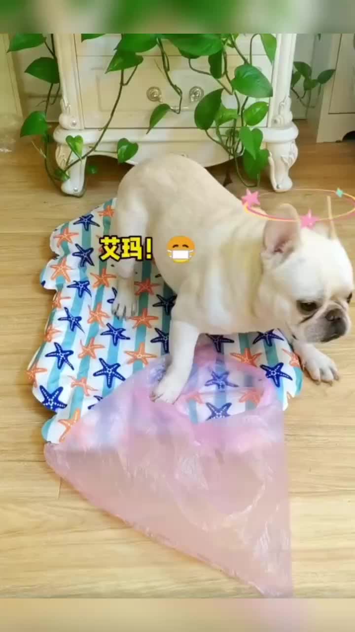 @zhaogcxy20160317