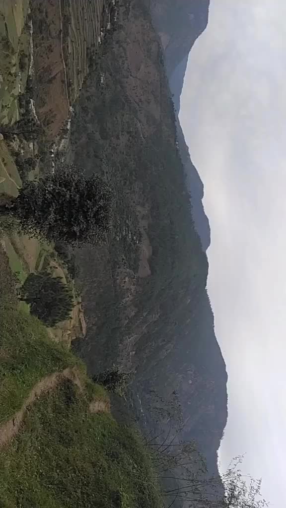@Mahakal_Satyendra_
