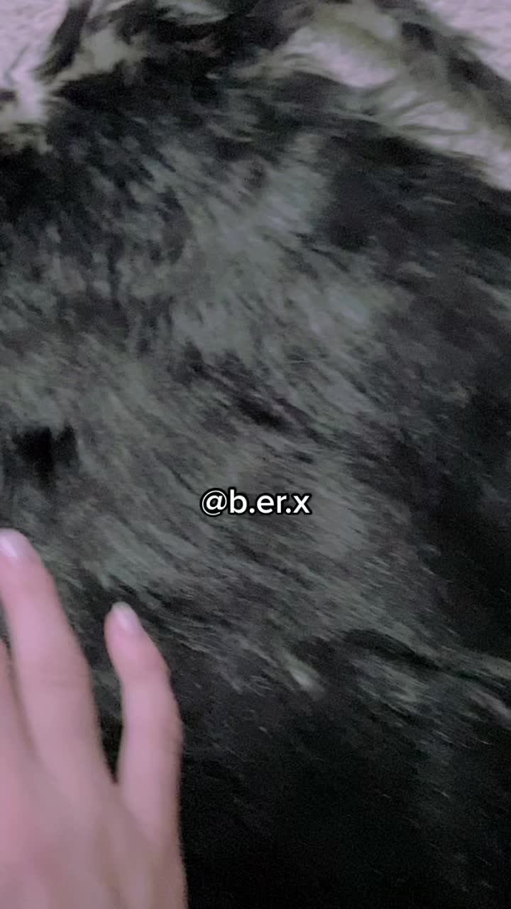@Berx