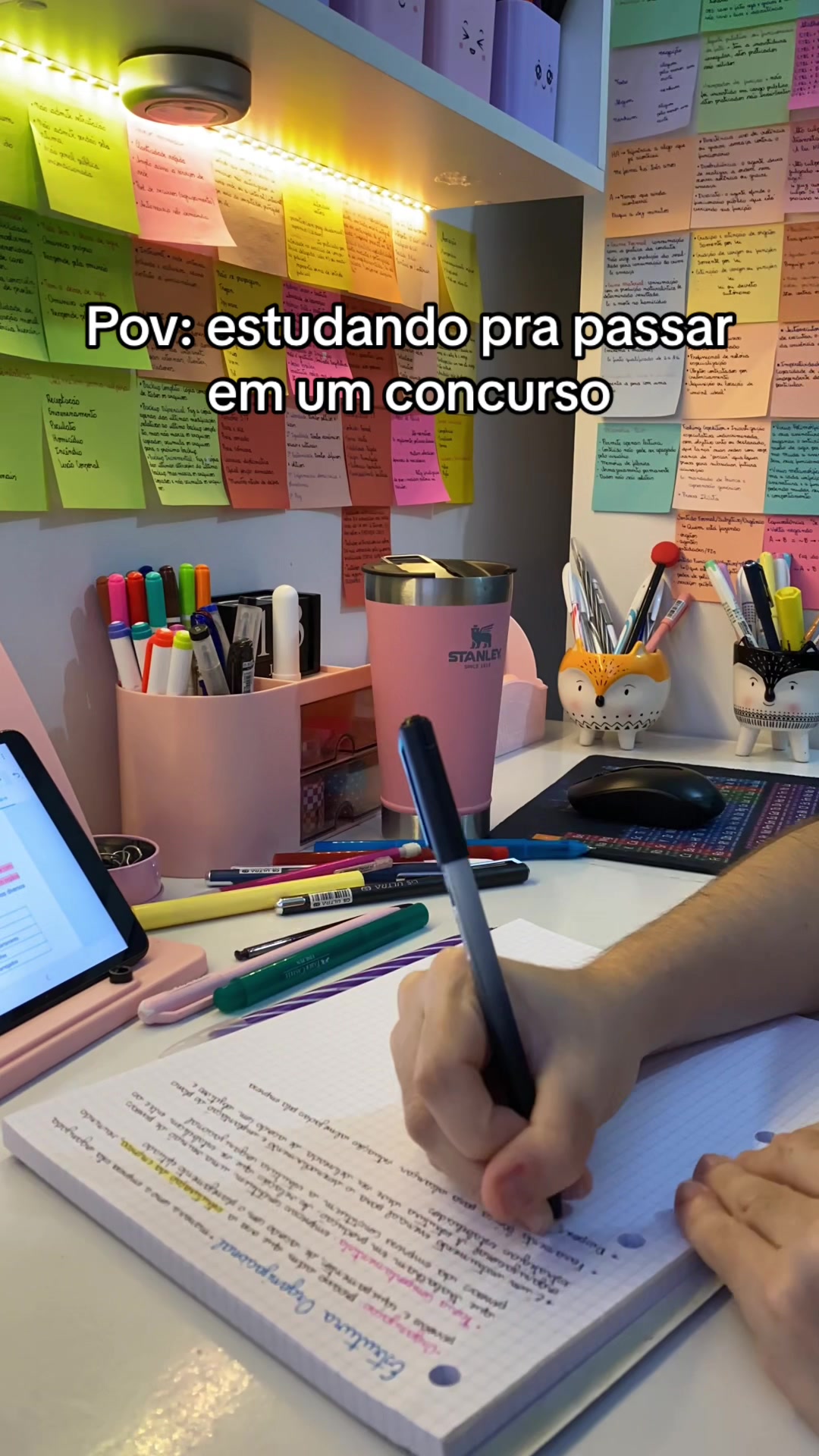 @Andreza | Studytok