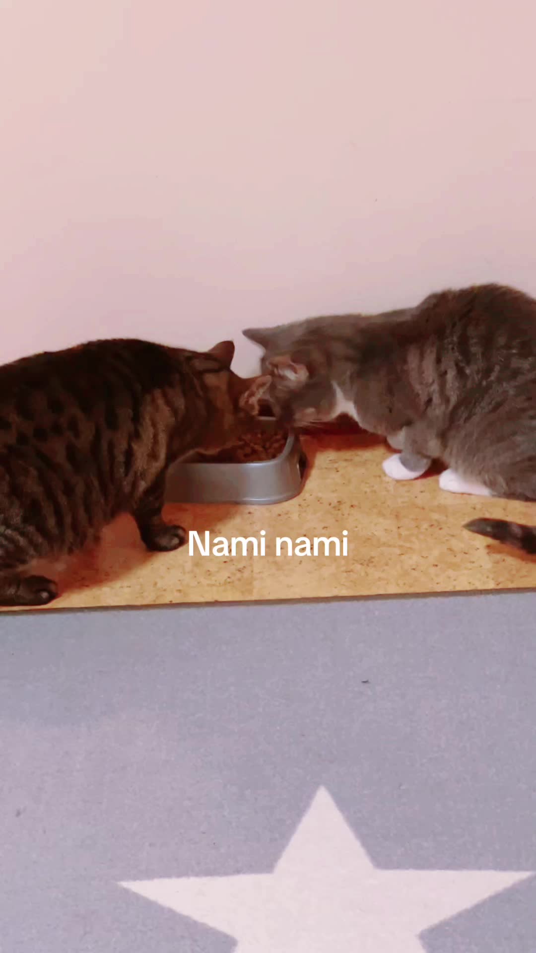 @mmawika