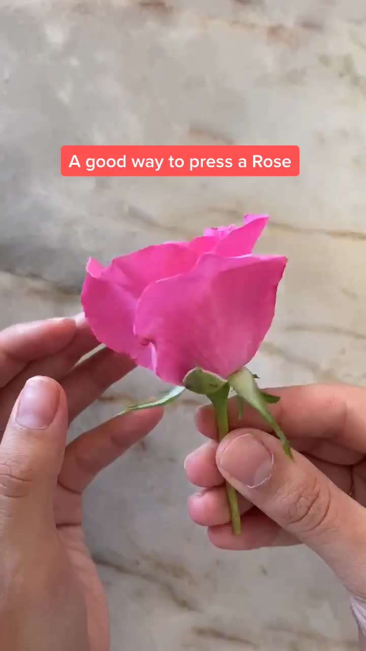 @FaithandFleurShop