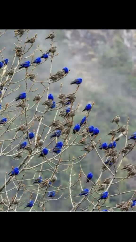 @Prajwal mahi