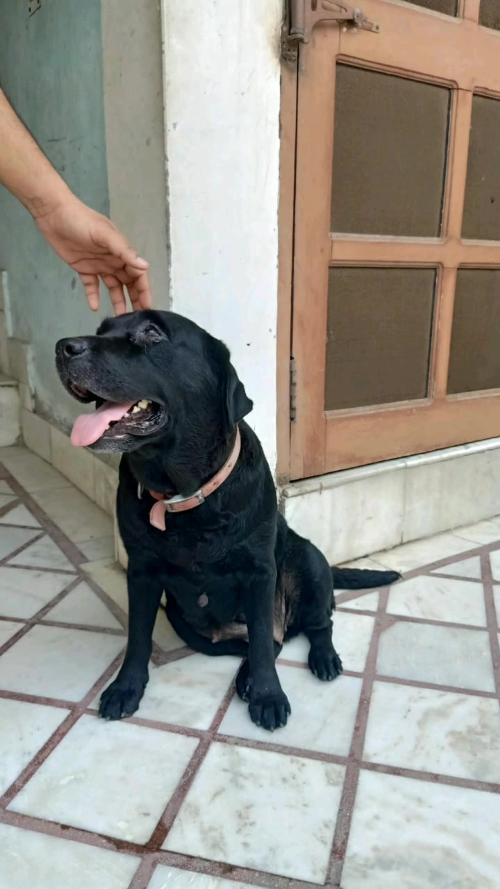 @AKSHA&yen; &reg;&trade;