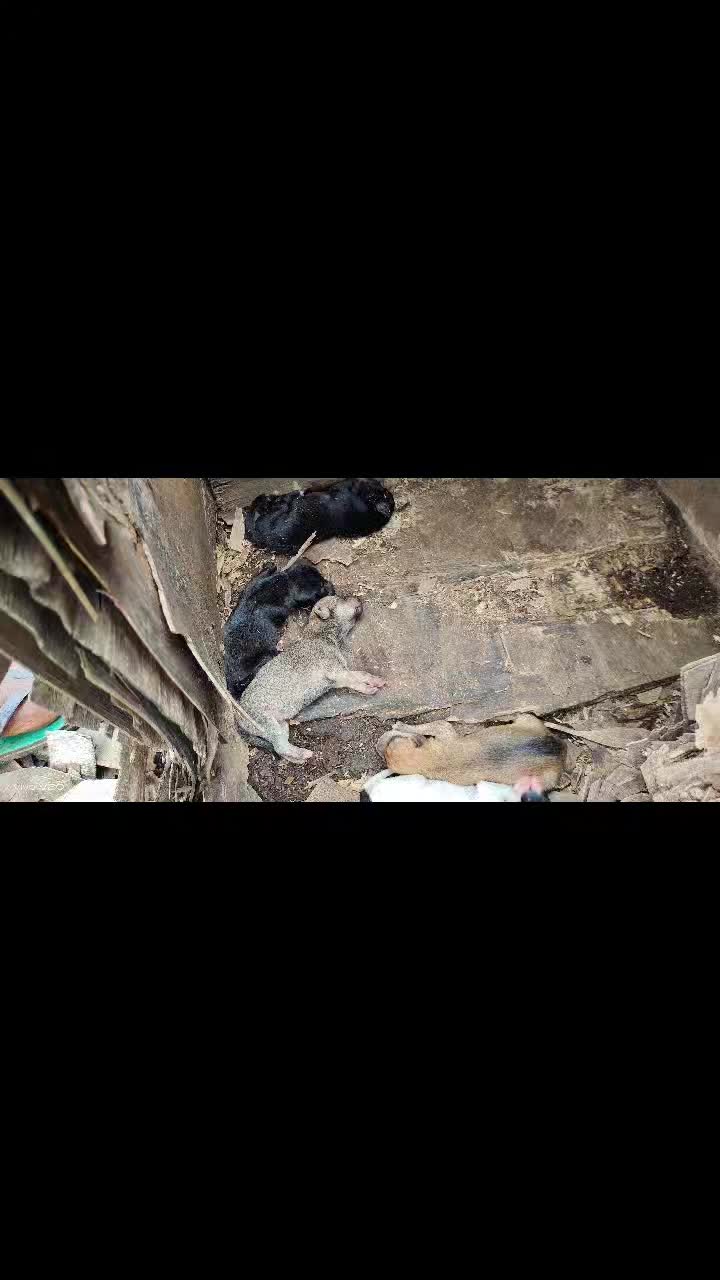 @Prathap Prathap39475
