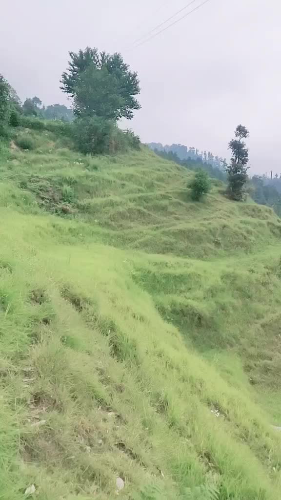 @नैना ❤️