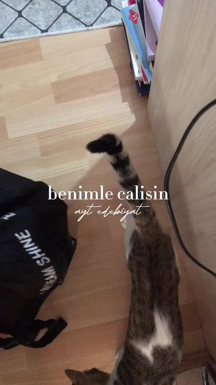 @🤍